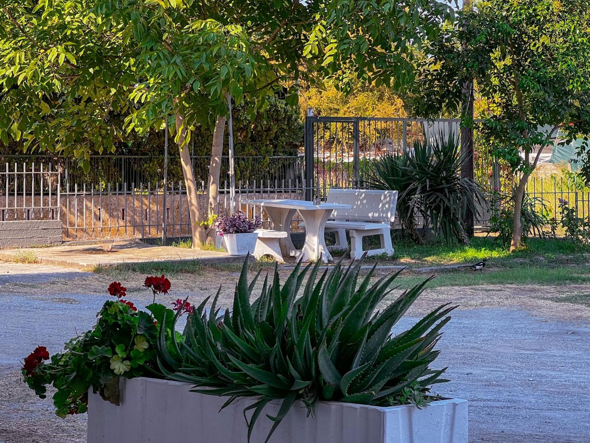 Prado Apartment Hotel Limin Litochorou Екстериор снимка